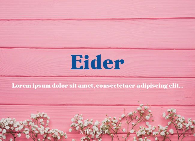 Eider example
