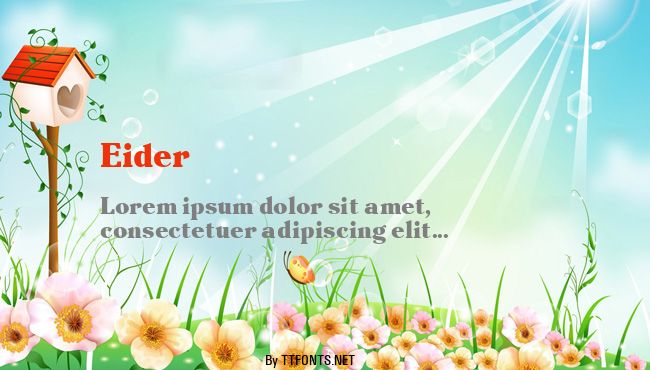 Eider example