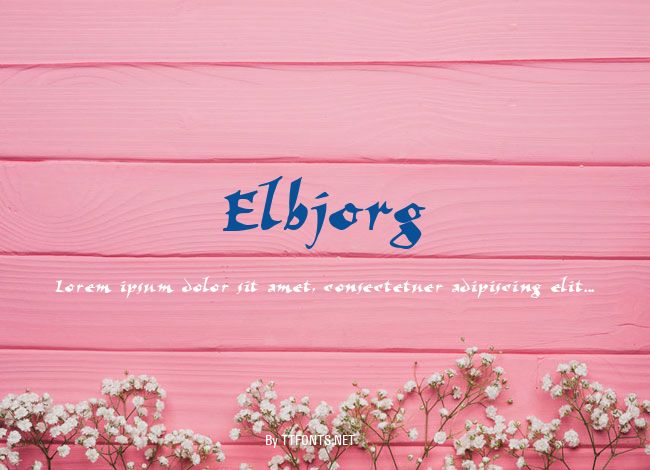 Elbjorg example