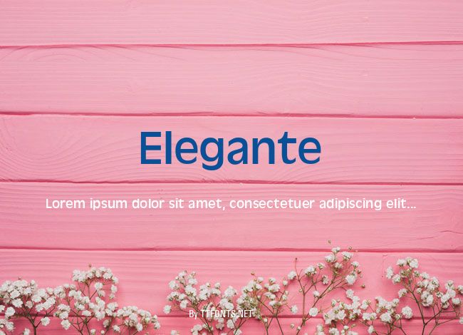 Elegante example
