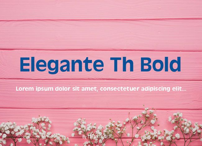 Elegante Th Bold example