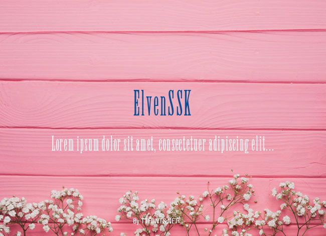 ElvenSSK example