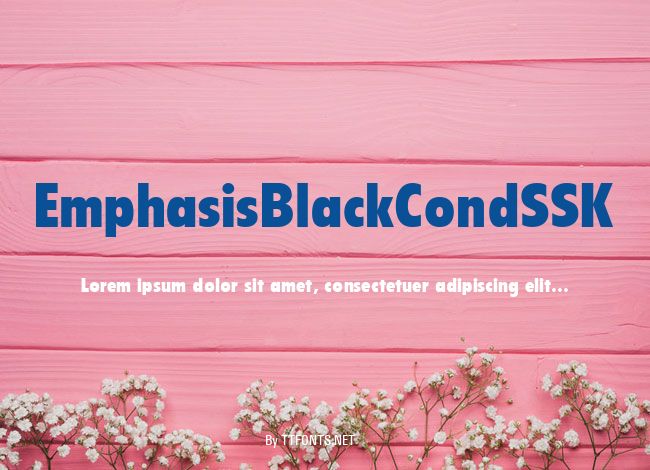 EmphasisBlackCondSSK example