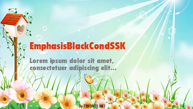 EmphasisBlackCondSSK example