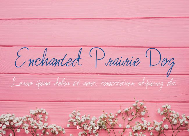 Enchanted Prairie Dog example