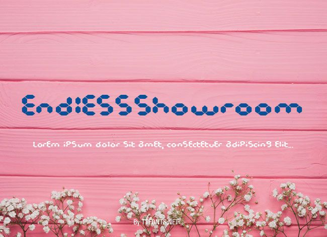 EndlessShowroom example