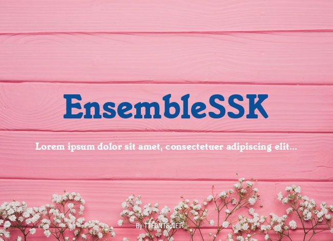 EnsembleSSK example
