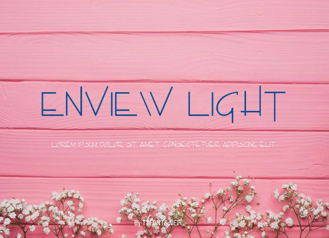 Enview Light example