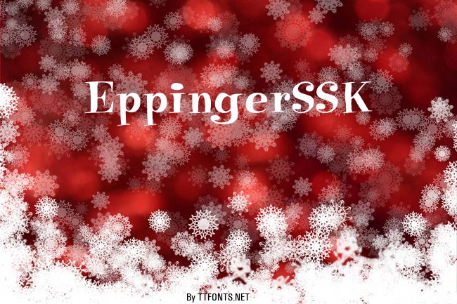 EppingerSSK example