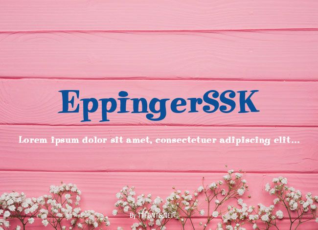 EppingerSSK example