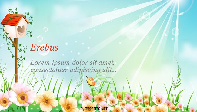 Erebus example