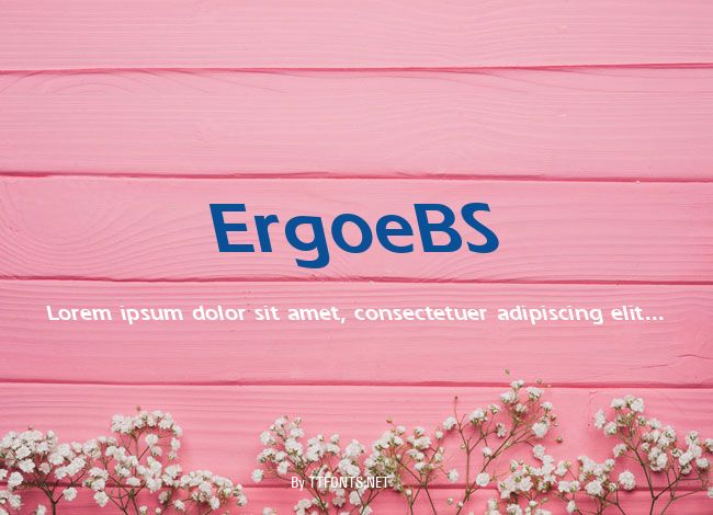 ErgoeBS example