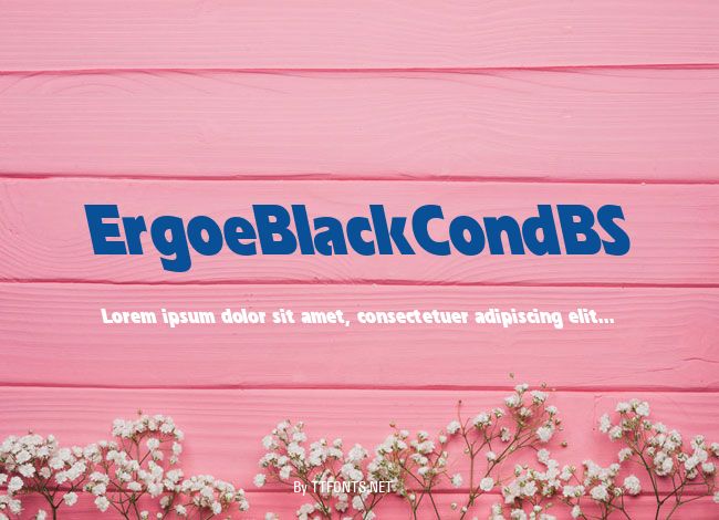 ErgoeBlackCondBS example