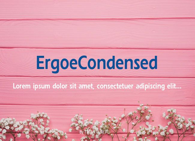 ErgoeCondensed example