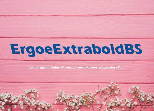 ErgoeExtraboldBS example