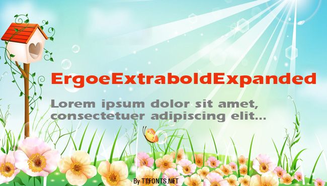 ErgoeExtraboldExpanded example