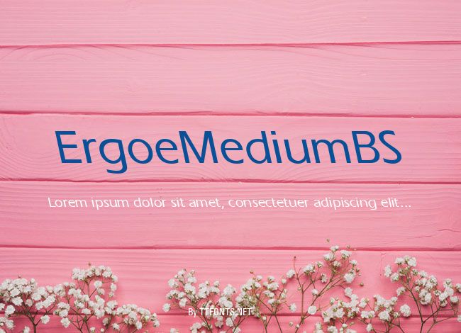 ErgoeMediumBS example