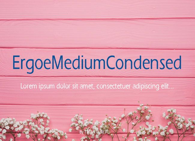 ErgoeMediumCondensed example