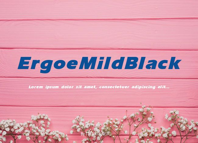 ErgoeMildBlack example