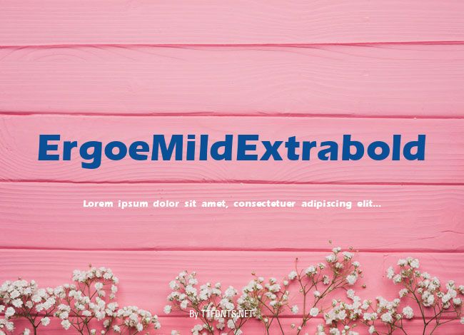 ErgoeMildExtrabold example