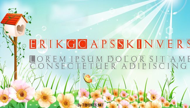 ErikGCapsSkInvers example