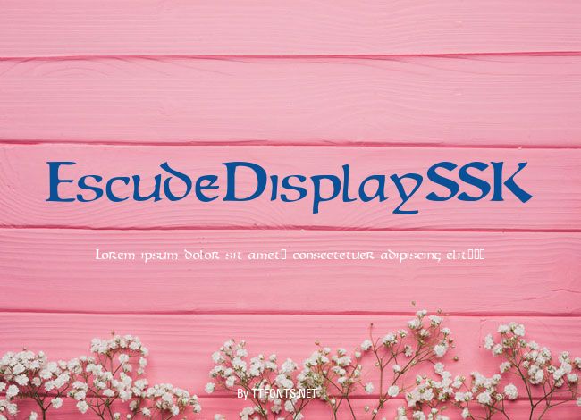 EscudeDisplaySSK example