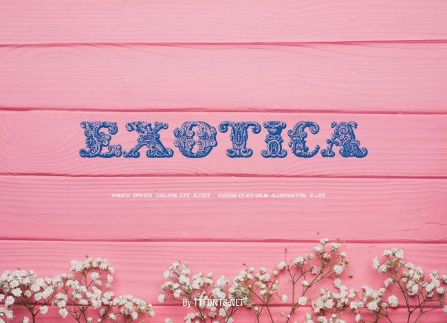 exotica example