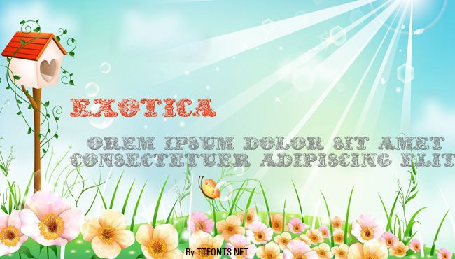 exotica example