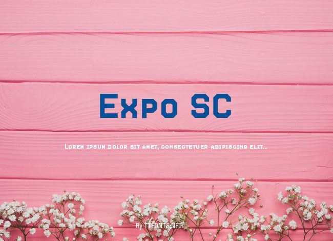 Expo SC example