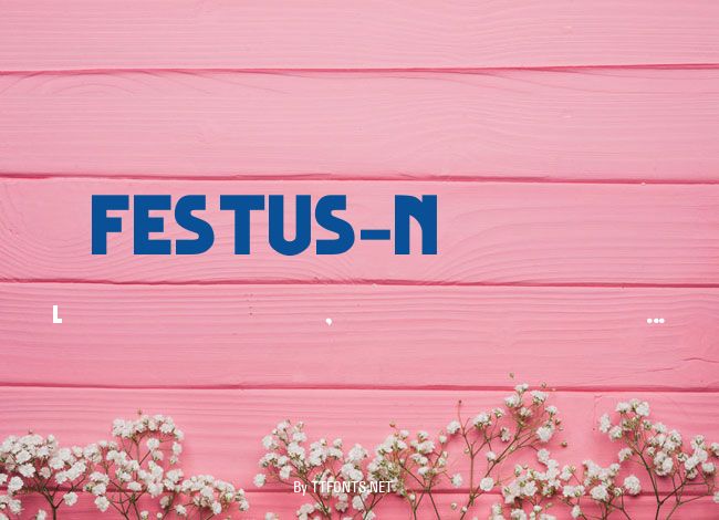 FESTUS-Normal example