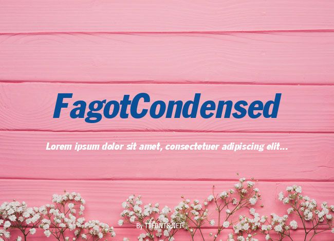 FagotCondensed example