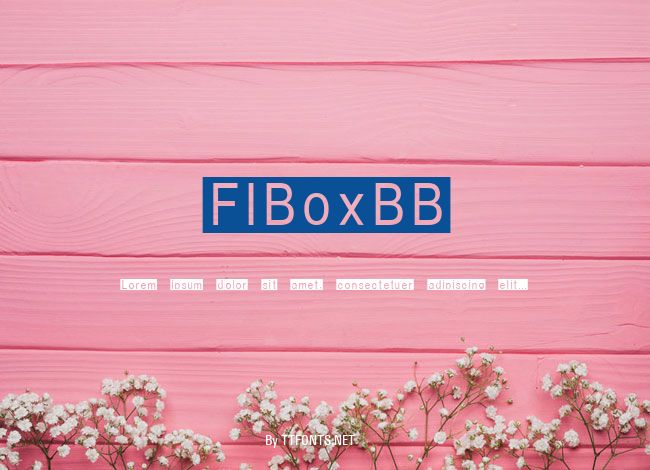 FIBoxBB example