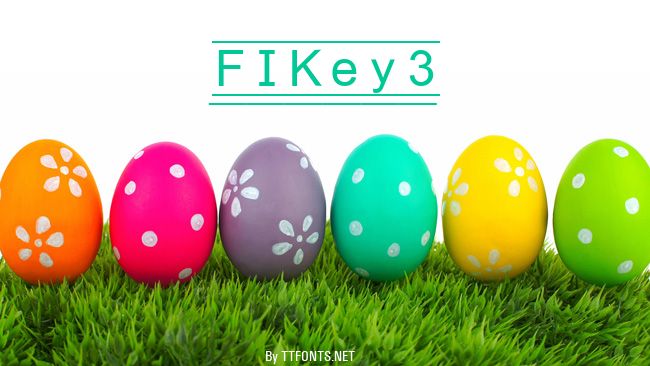 FIKey3 example