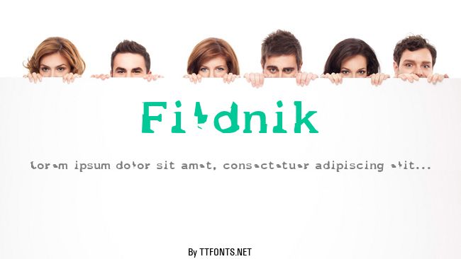 Fildnik example