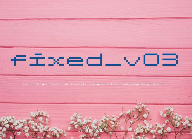 fixed_v03 example