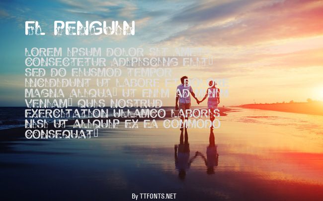FL Penguin example
