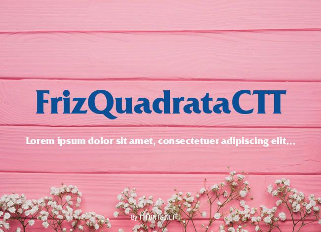 FrizQuadrataCTT example