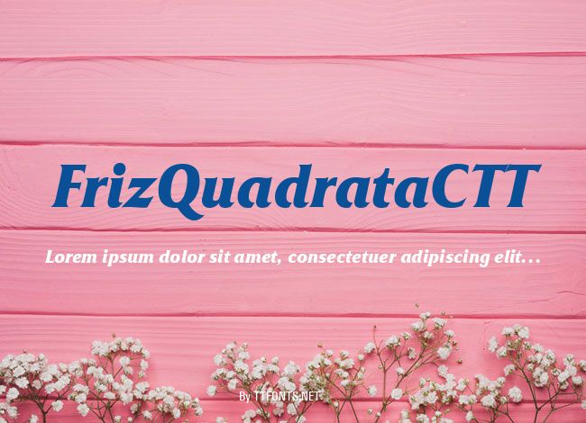 FrizQuadrataCTT example