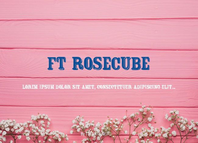 FT Rosecube example