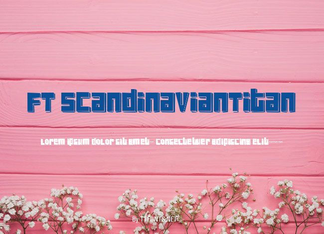 FT ScandinavianTitan example
