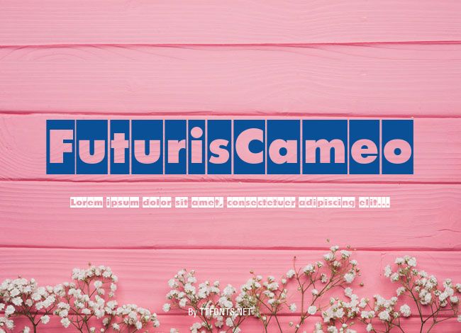 FuturisCameo example