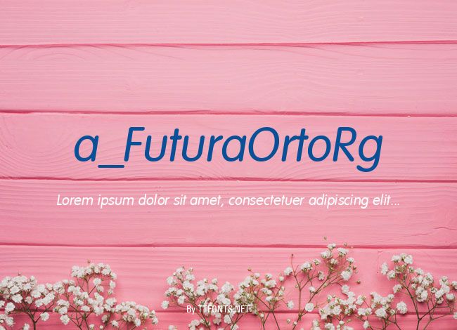 a_FuturaOrtoRg example