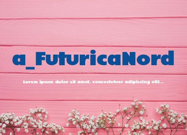 a_FuturicaNord example