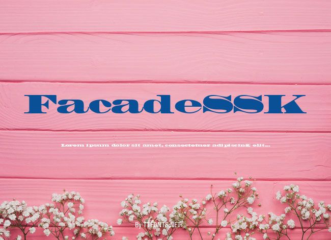 FacadeSSK example