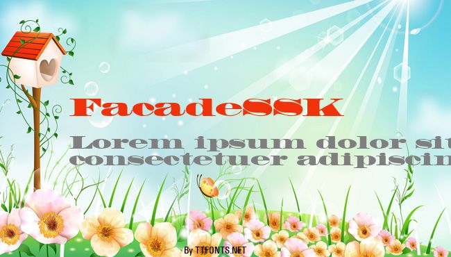 FacadeSSK example