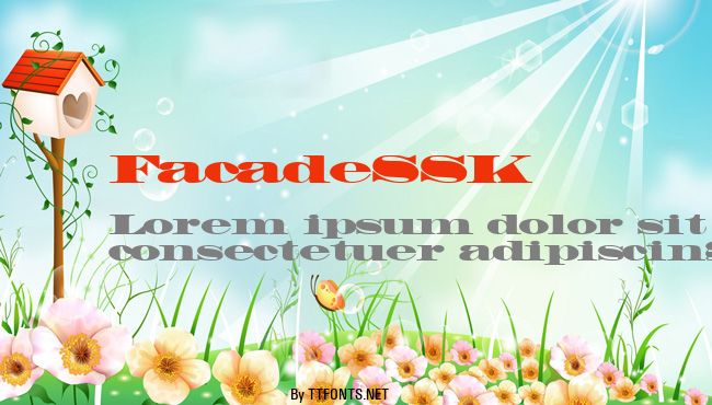 FacadeSSK example