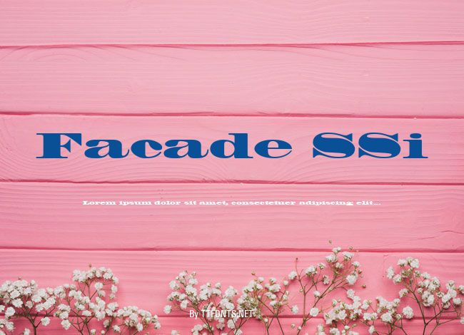 Facade SSi example