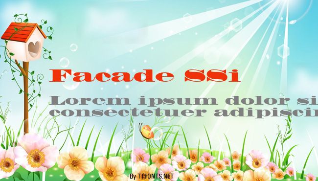 Facade SSi example