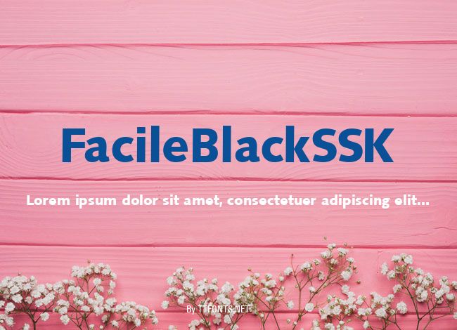FacileBlackSSK example