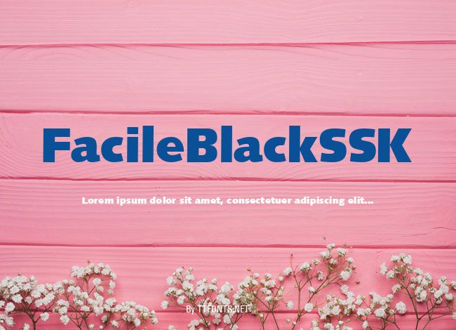 FacileBlackSSK example